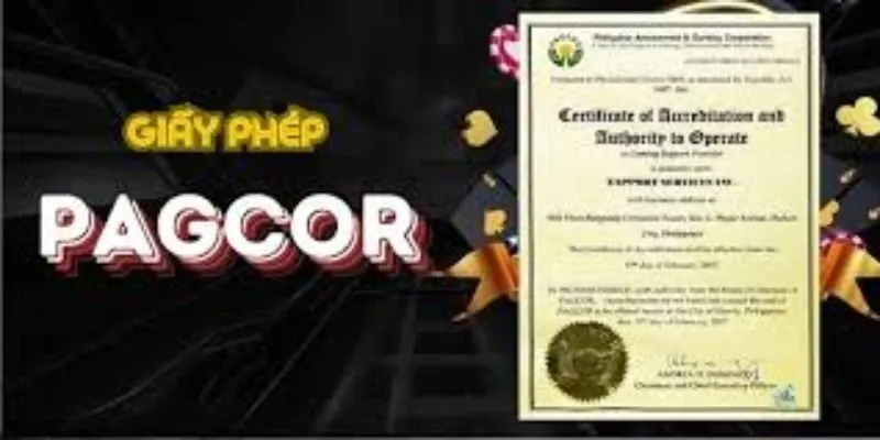 Giấy phép hoạt động B24club hiện có