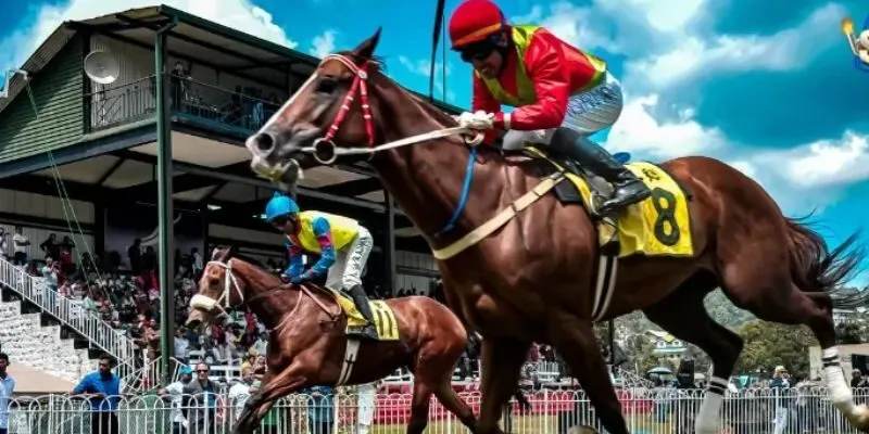 Sảnh thể thao cập nhật nhiều bộ môn hấp dẫn